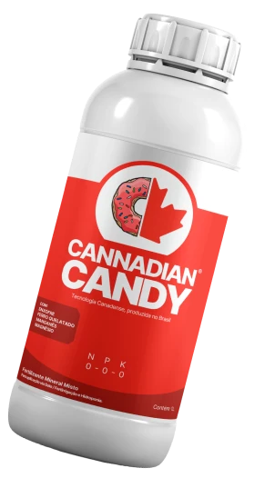 CANDY